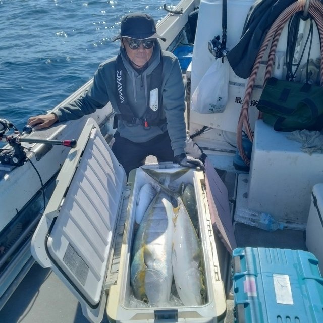 ブリ・ヤズ(ブリ)