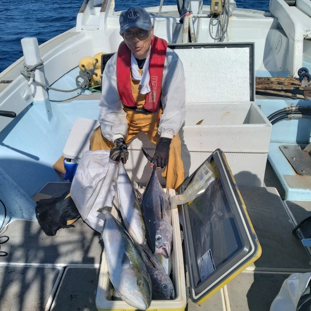 ブリ・ヤズ(ブリ)