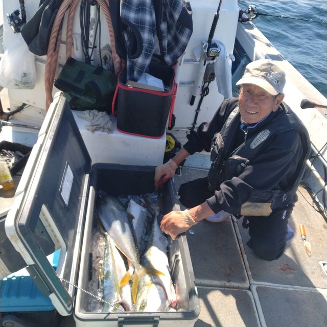 ブリ・ヤズ(ブリ)