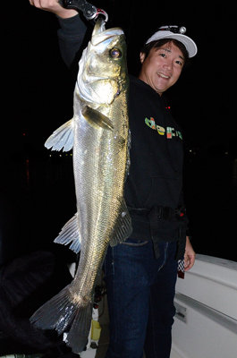 シーバス(スズキ)