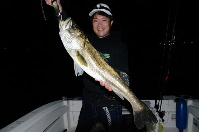 シーバス(スズキ)