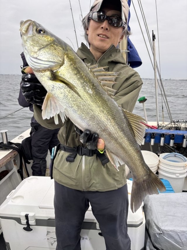 シーバス(スズキ)