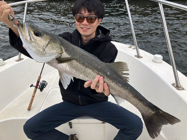 シーバス(スズキ)