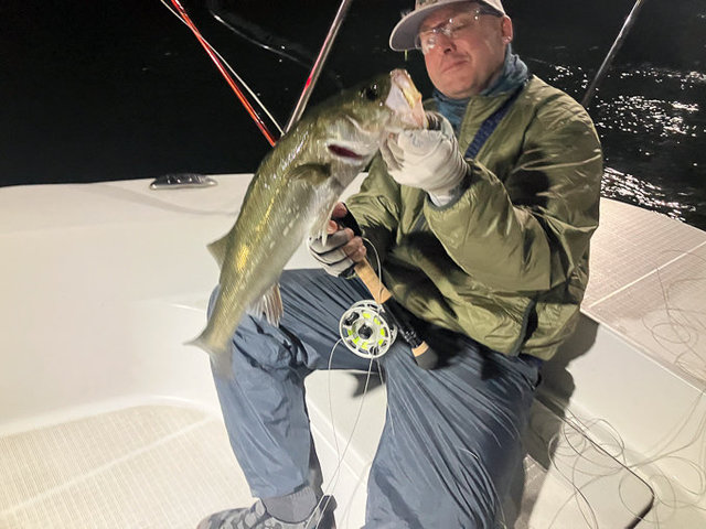 シーバス(スズキ)