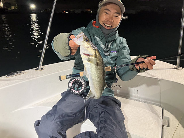 シーバス(スズキ)