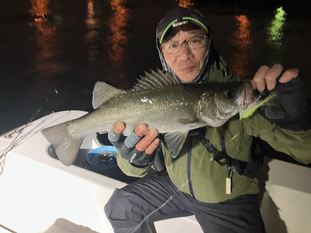 シーバス(スズキ)