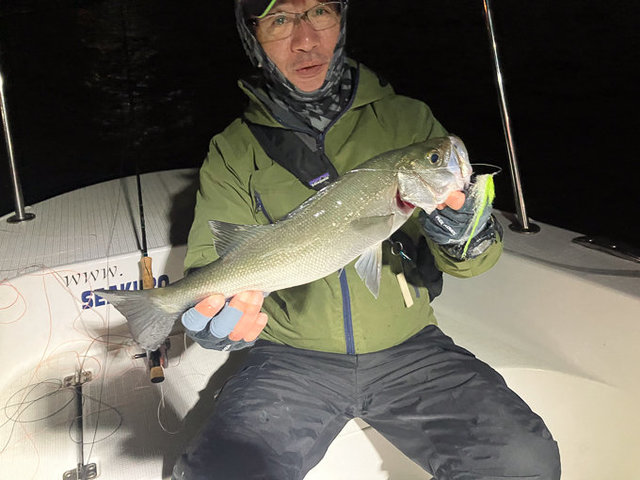 シーバス(スズキ)