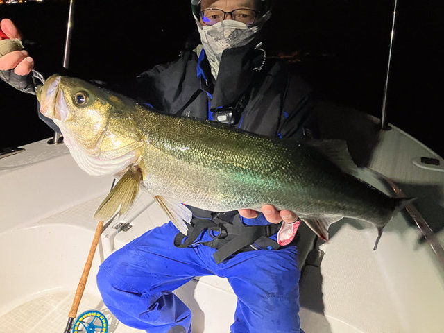 シーバス(スズキ)