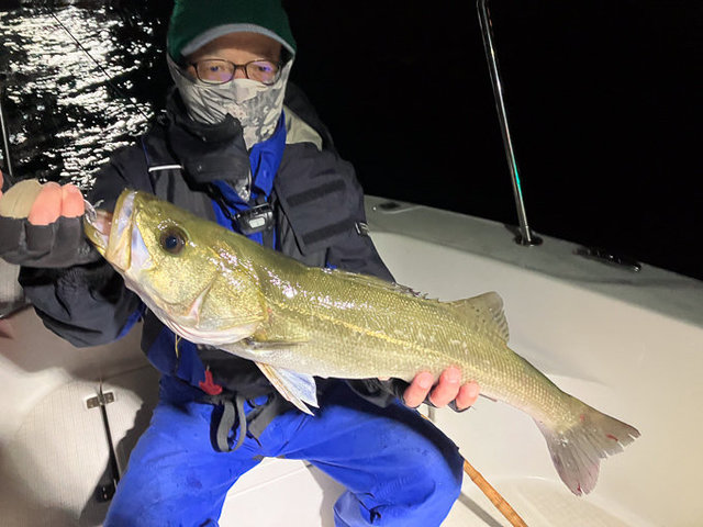 シーバス(スズキ)