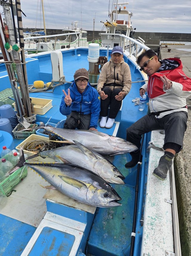 キハダマグロ(キハダ)