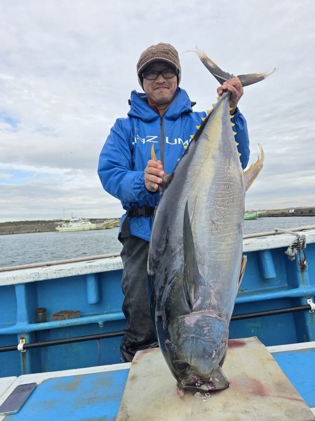 キハダマグロ(キハダ)