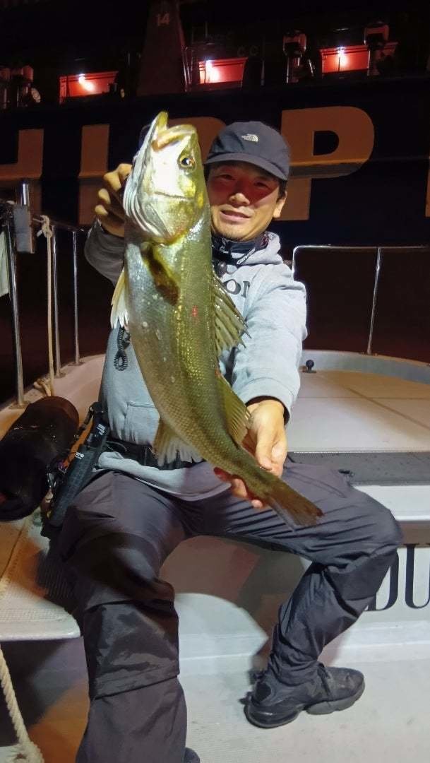 シーバス(スズキ)