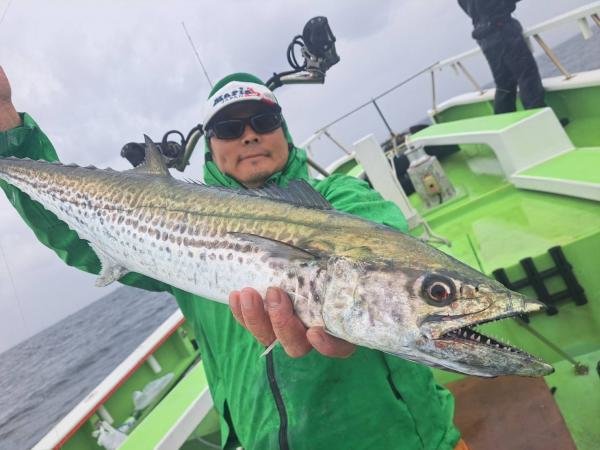 サゴシ(サワラ)