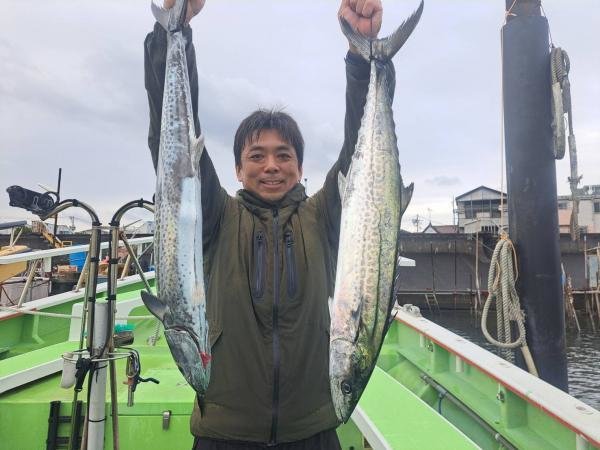 サゴシ(サワラ)