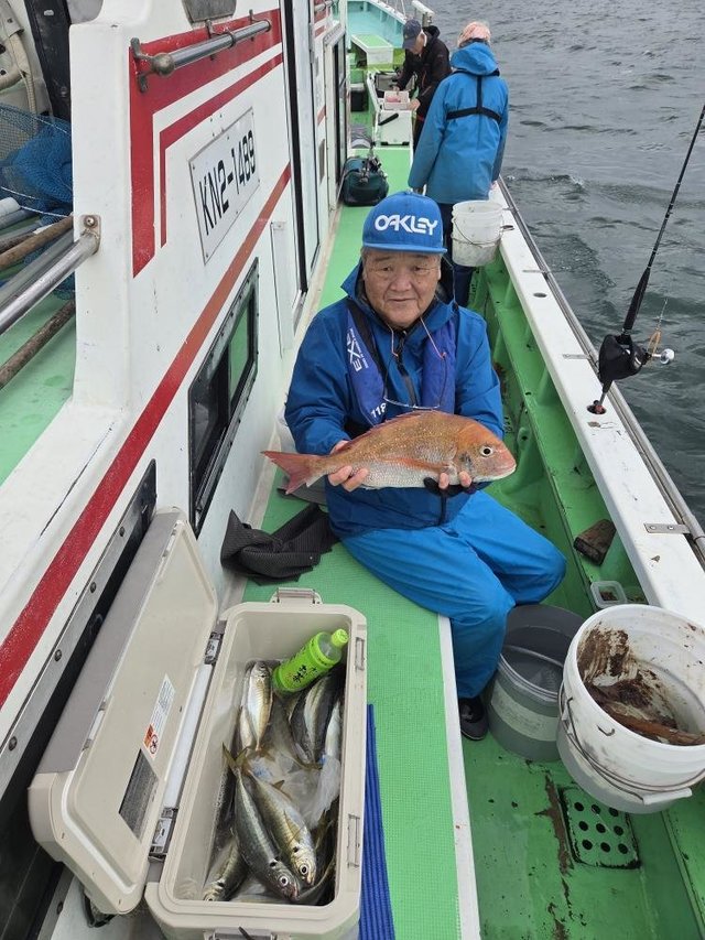 マダイ・アジ(マアジ)