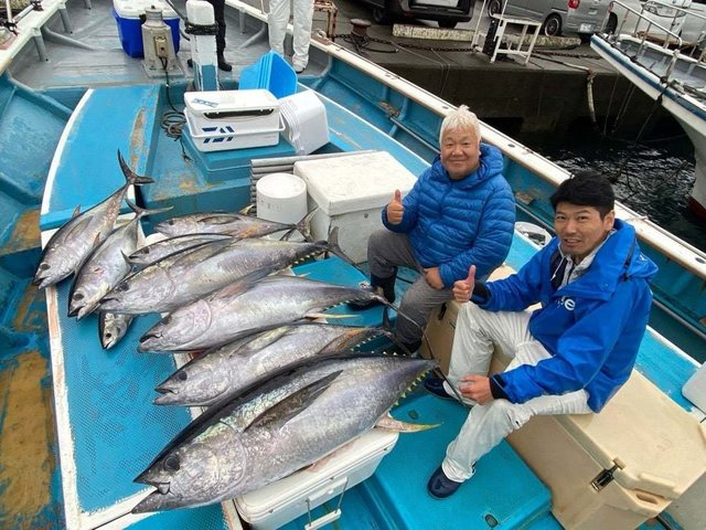 キハダ・キメジ(キハダ)