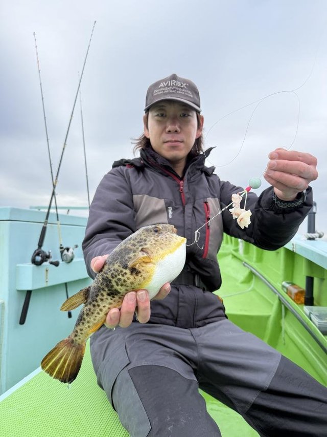 フグ(アカメフグ)