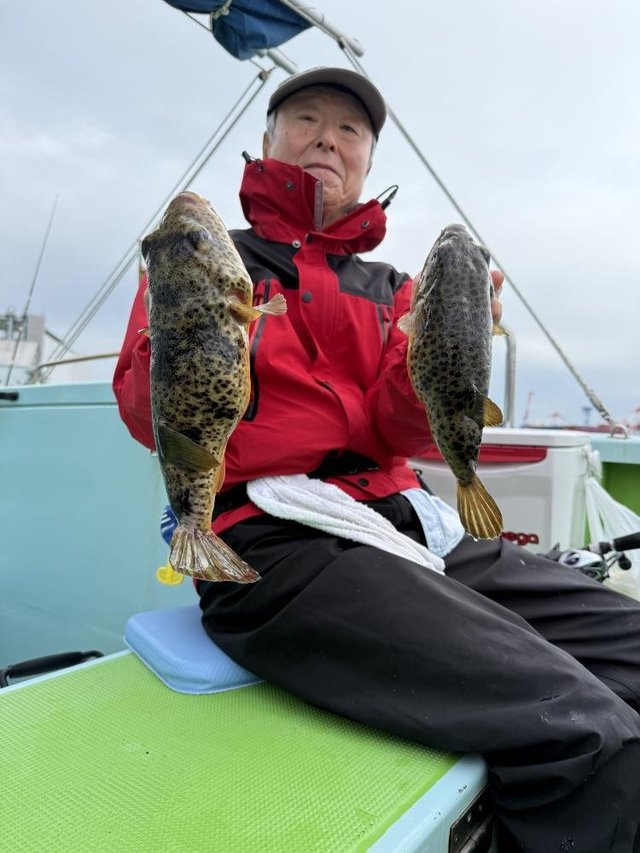 フグ(アカメフグ)