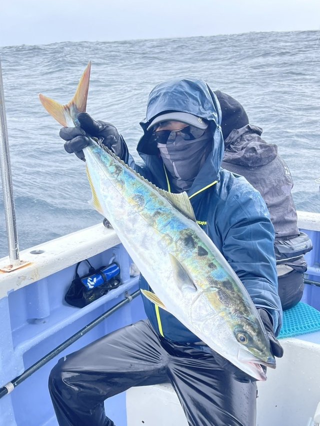 サンパク(ブリ)