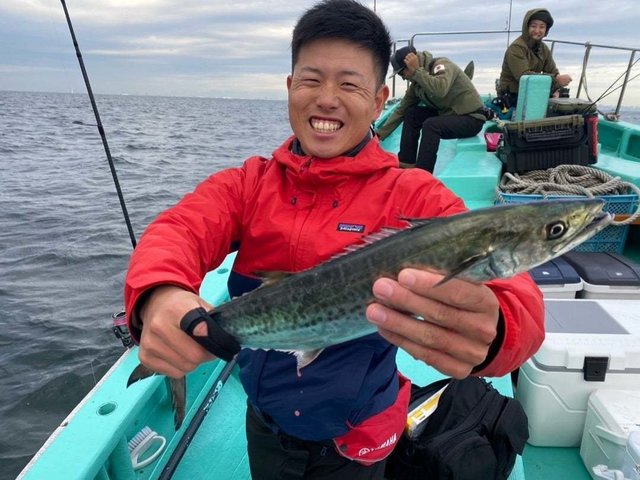 サゴシ(サワラ)