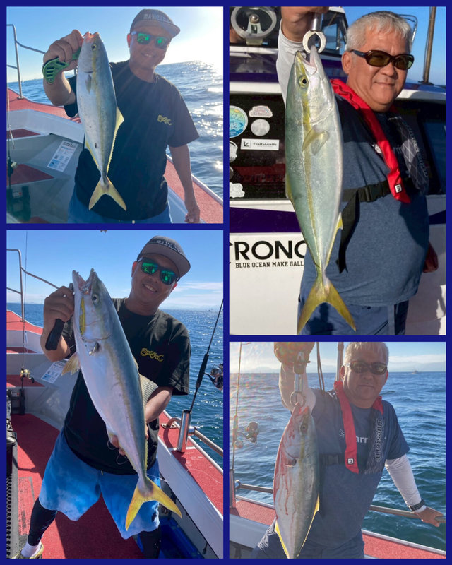 ヤズ(ブリ)・カツオ