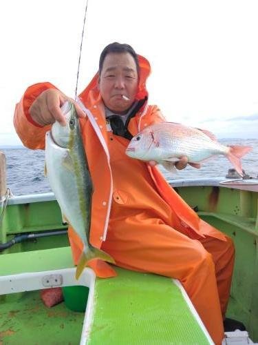 マダイ・イナダ(ブリ)