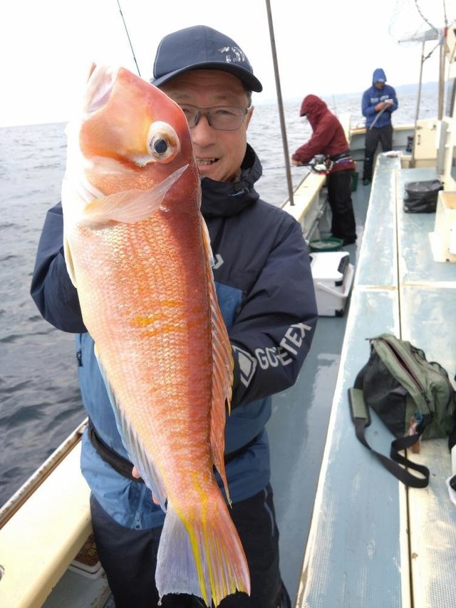 アマダイ(アカアマダイ)