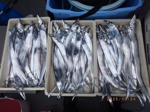 タチウオ