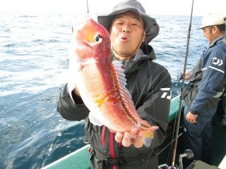 アマダイ(アカアマダイ)