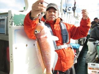 アマダイ(アカアマダイ)