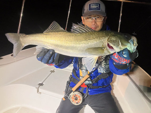 シーバス(スズキ)