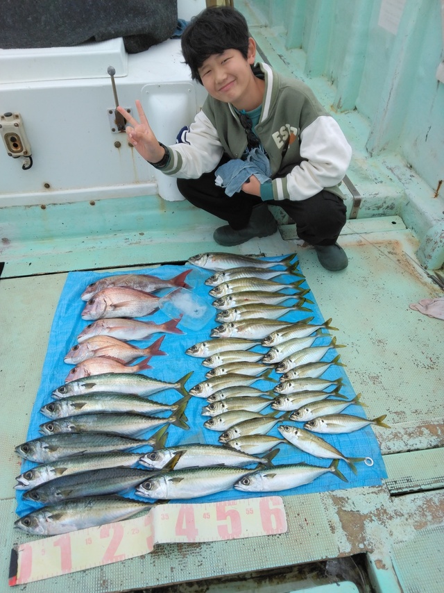 マダイ・マアジ・マサバ