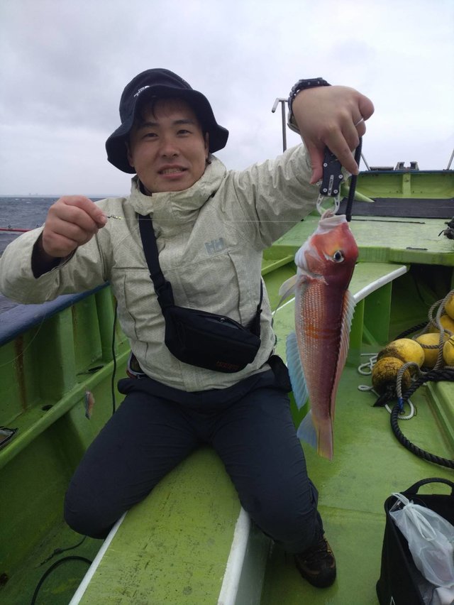 アマダイ(アカアマダイ)