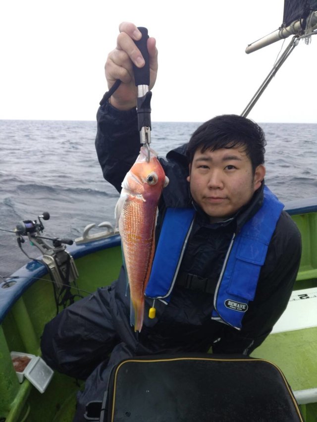 アマダイ(アカアマダイ)