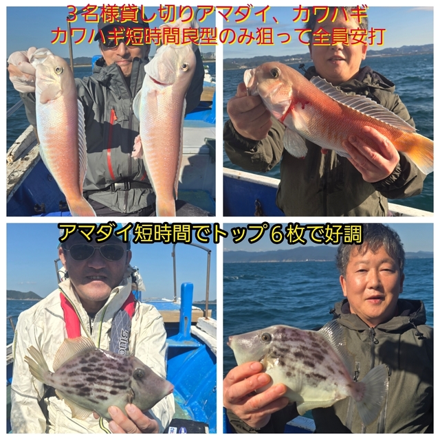 シロアマダイ・カワハギ