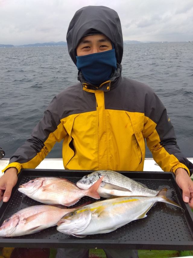 マダイ・カンパチ