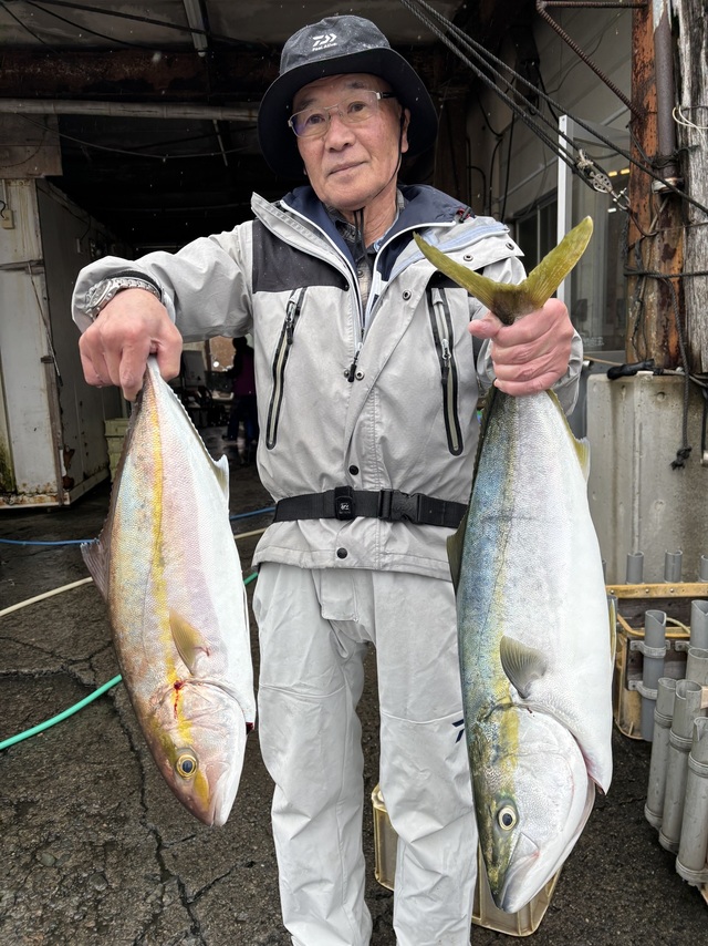 ワラサ(ブリ)・カンパチ