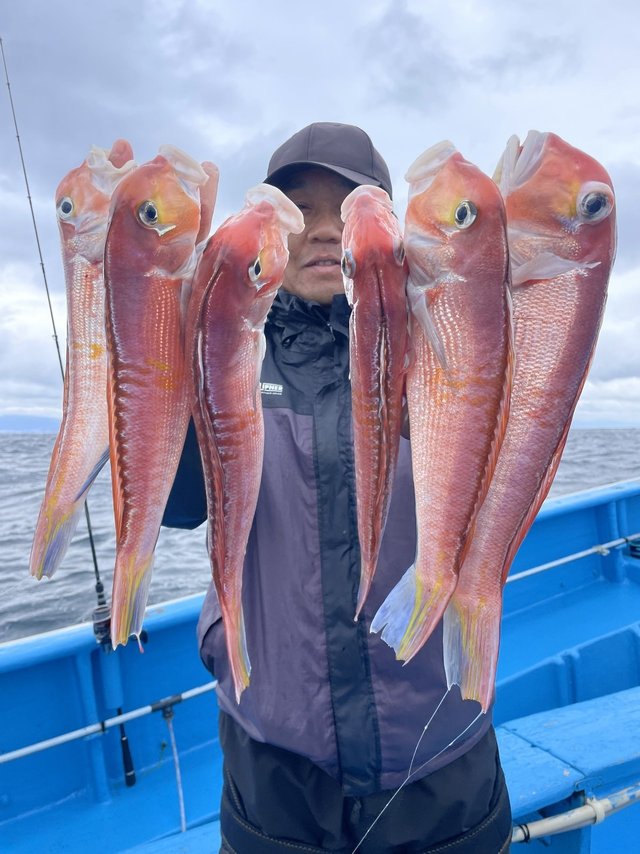 アマダイ(アカアマダイ)