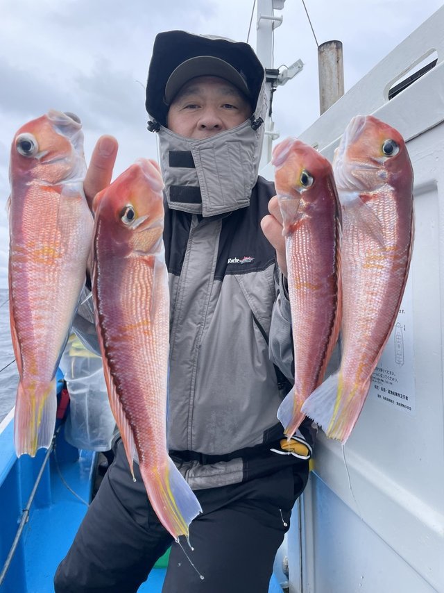 アマダイ(アカアマダイ)