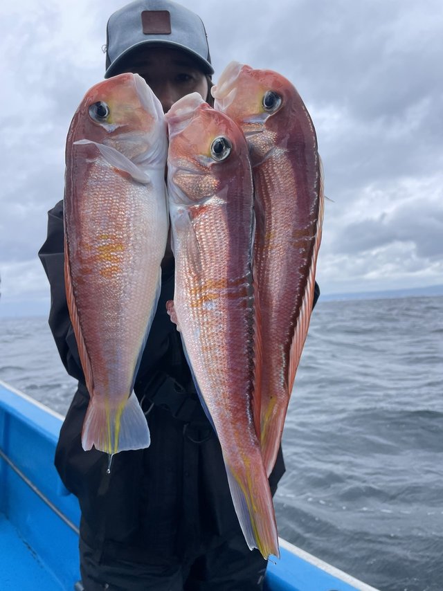 アマダイ(アカアマダイ)