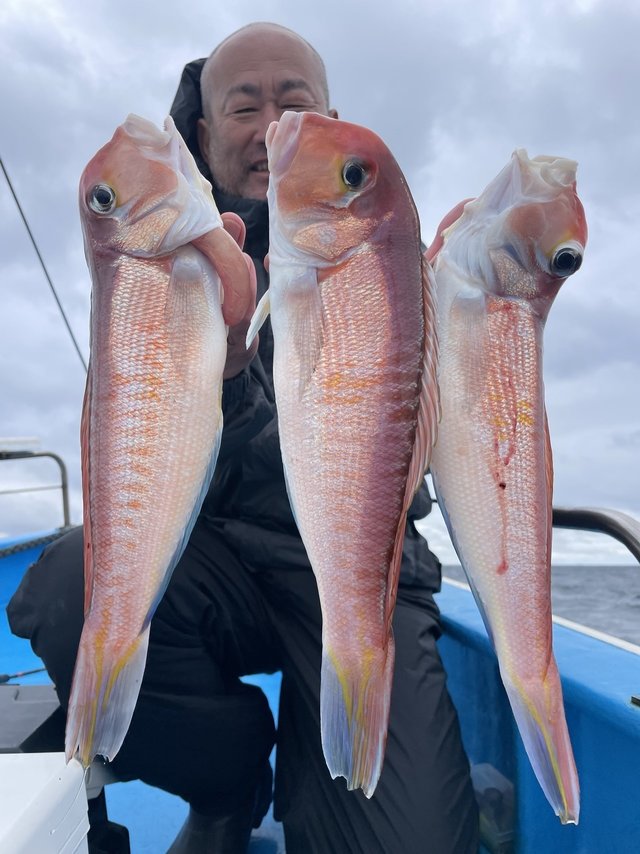 アマダイ(アカアマダイ)