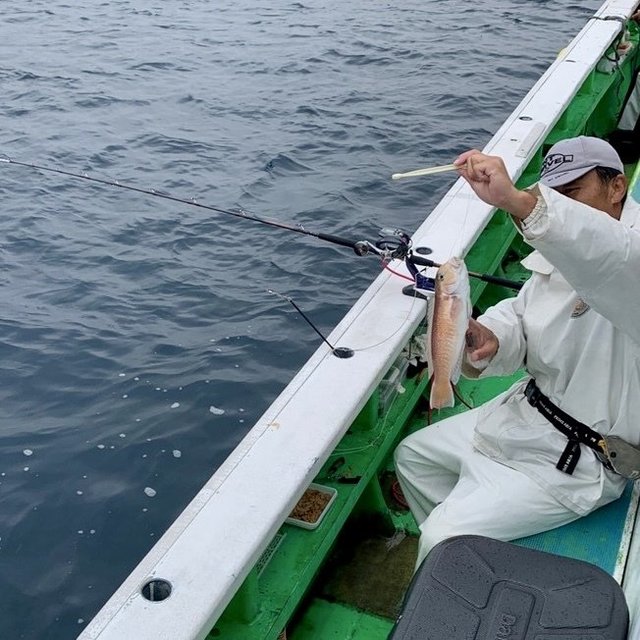 アマダイ(アカアマダイ)