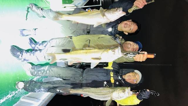 シーバス(スズキ)