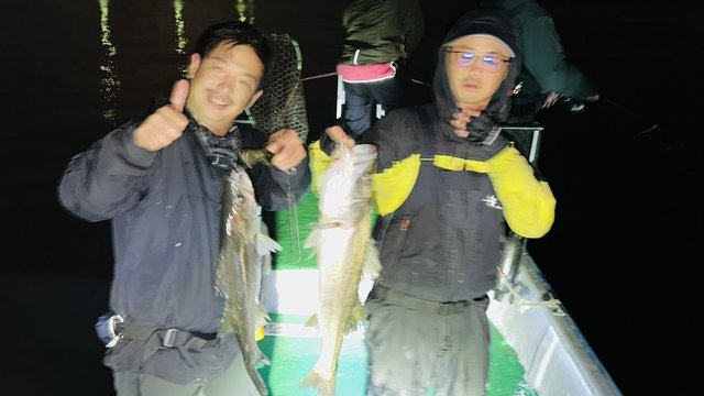 シーバス(スズキ)