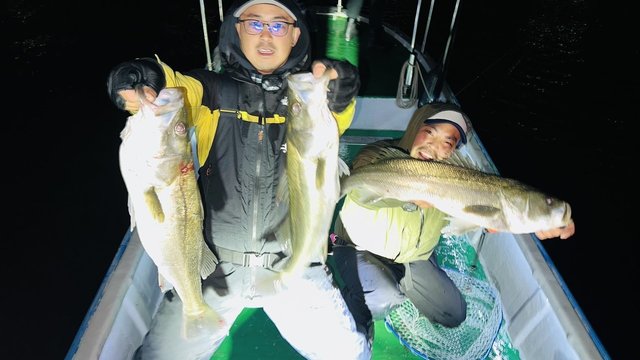 シーバス(スズキ)