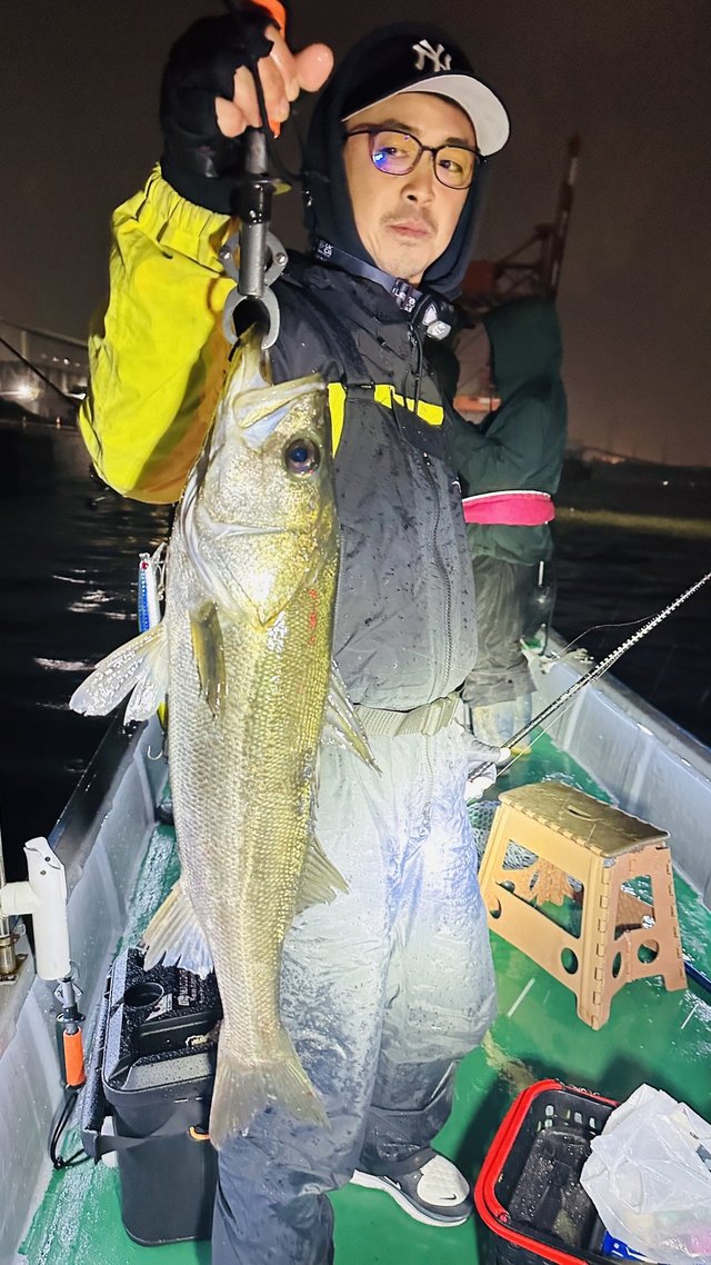 シーバス(スズキ)