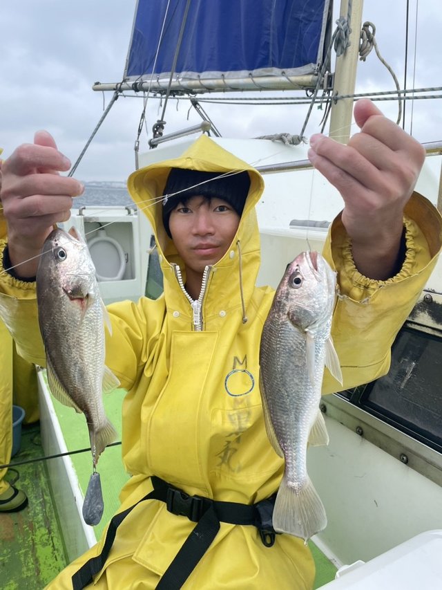 イシモチ(シログチ)