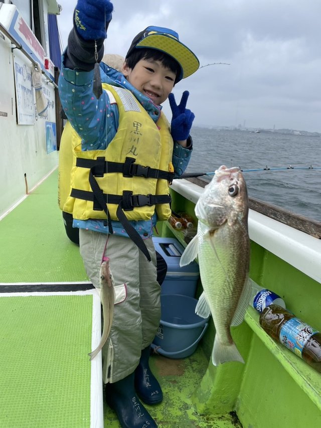 イシモチ(シログチ)