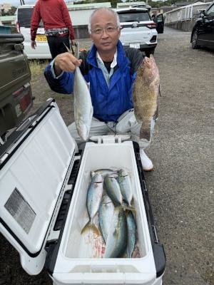 オオモンハタ・ツバス(ブリ)・ハマチ(ブリ)・メジロ(ブリ)・シオ(カンパチ)