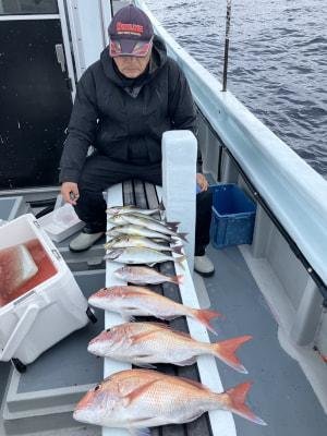 マダイ・イサキ